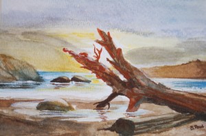 Driftwood in Watercolor 