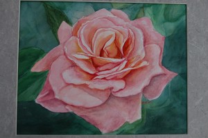 Pink Watercolor Rose 