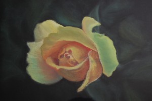 Rose in Pastel 